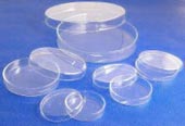 Petri Dishes used for mold sampling.