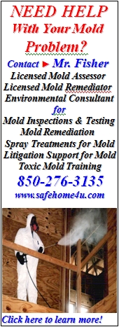 Bill can help you with your mold problem!